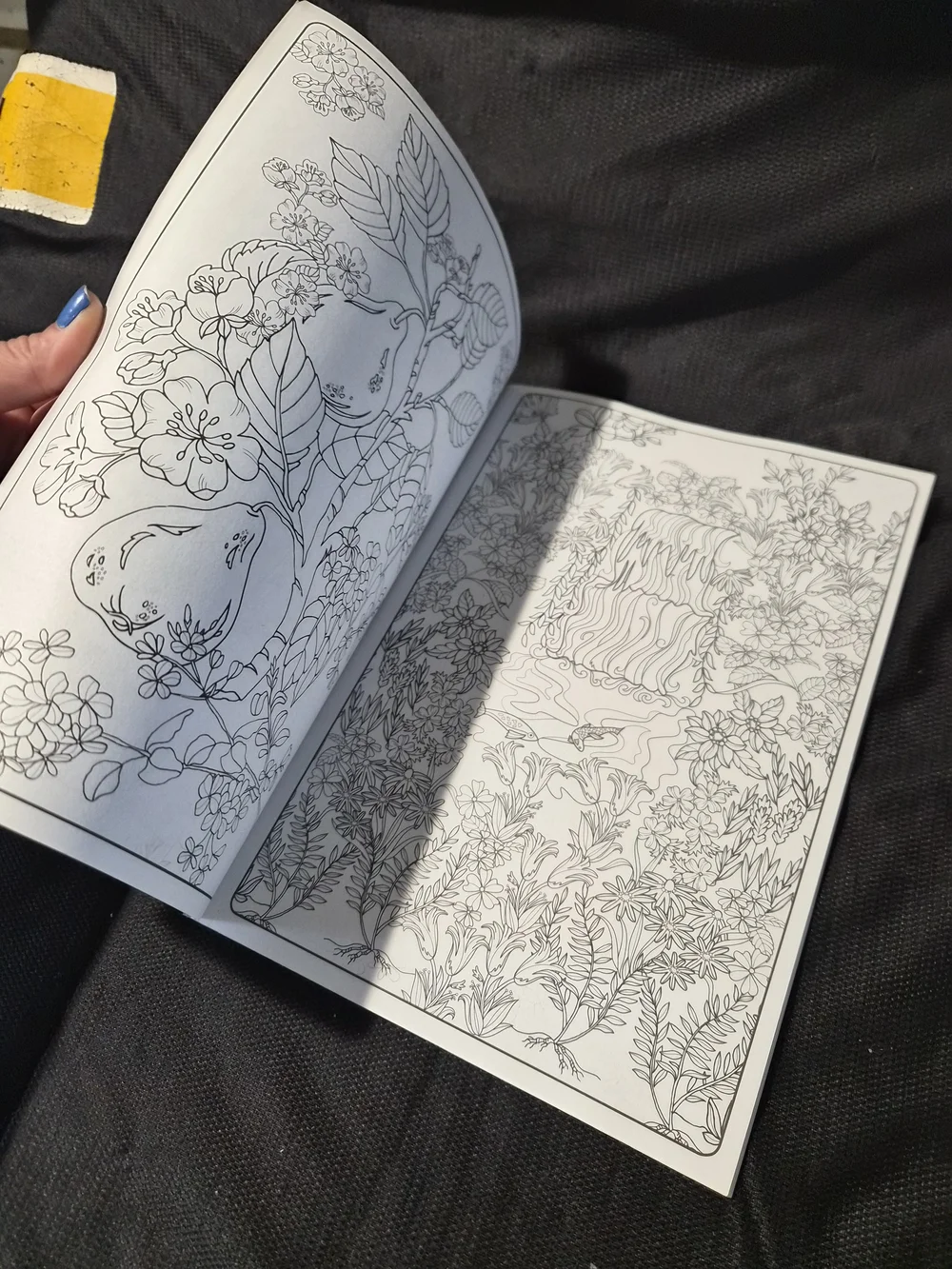 Hand-Colored Flowers Coloring Book Cover - Blue & Yellow